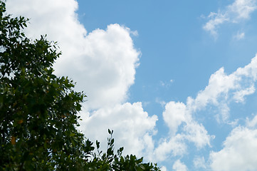 Image showing blue sky with cumulus clouds and tree