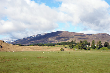 Image showing Carn Dubh hill, Scotland in Spring