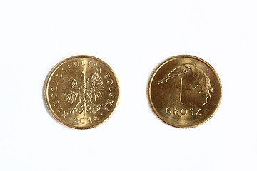 Image showing  Polish money