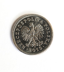 Image showing Polish money