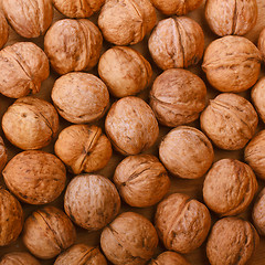 Image showing Walnuts Background
