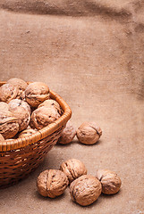 Image showing Walnuts Close-up On The Sackcloth Background 