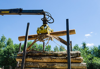 Image showing forestry cutter loading cut logs in pile trailer  