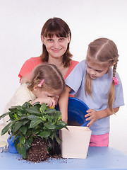 Image showing Mom and two daughters poured earth into a pot