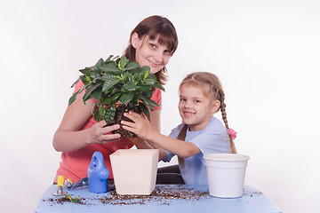 Image showing Mother and daughter transplanted flower room