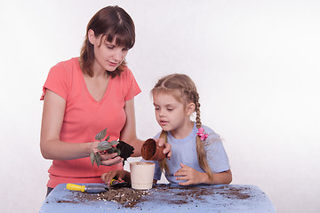 Image showing Mom teaches daughter to transplant flower room