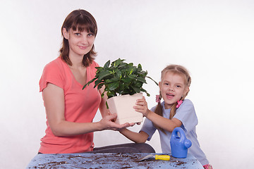 Image showing Mom and daughter holding hands in the flower room