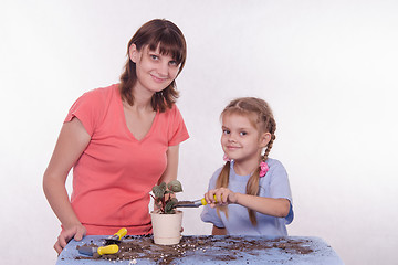 Image showing Daughter pours ground in a pot with potted flower