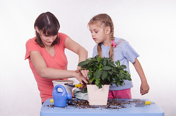 Image showing Mom and daughter spiked ground in a pot