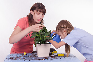 Image showing Mom and daughter watering flower room