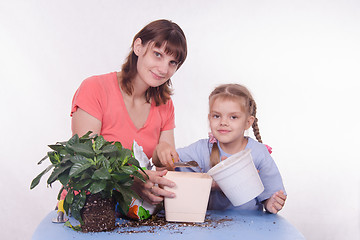 Image showing Mother and daughter are transplanted from a small flower
