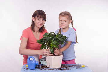 Image showing Mom and daughter planting new houseplant in a pot