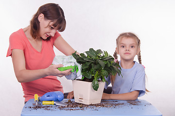 Image showing Mom sleeps in the ground with a plant pot