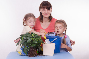 Image showing Mom and two daughters transplanted flower room