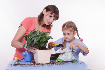 Image showing Mom teaches daughter to fall asleep in ground