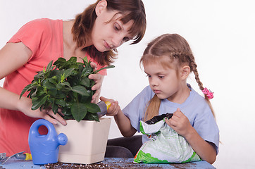 Image showing Girl pours ground in a flower pot