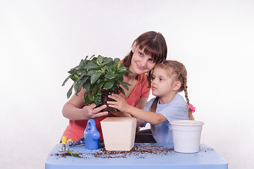 Image showing Mom shows daughter of transplant flower pot in another