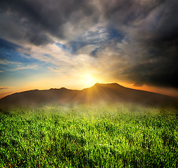 Image showing Green grass in mountains