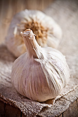 Image showing fresh garlic