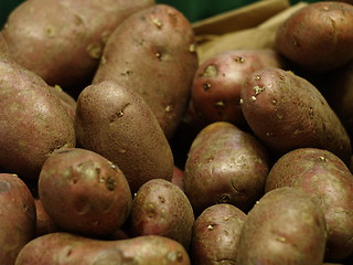 Image showing Potatoes