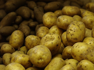 Image showing Potatoes