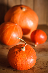 Image showing Pumpkins on grunge wooden backdrop background