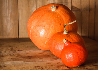 Image showing Pumpkins on grunge wooden backdrop background