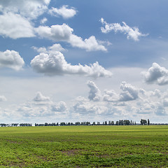 Image showing Summer landscape