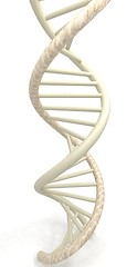 Image showing DNA structure model on white 