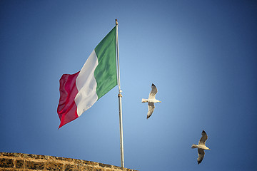 Image showing Seagulls flying near Italian flag