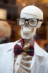 Image showing stylish skeleton