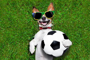 Image showing funny brazil  soccer dog