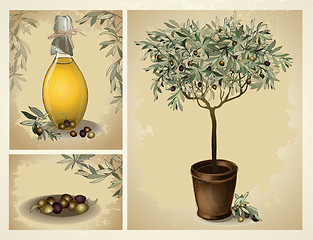 Image showing lass bottle of premium virgin olive oil and some olives with lea