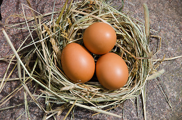 Image showing chicken eggs in nest of hay on stone outdoor 