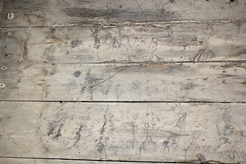 Image showing mycelium traces on basement floor