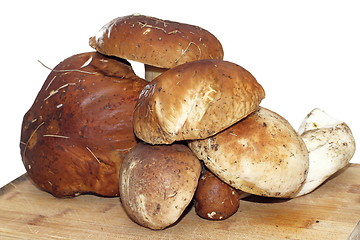 Image showing funghi porcini boletus edulis