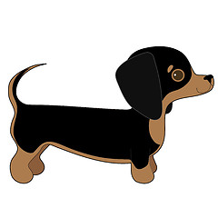 Image showing Dachshund