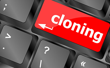 Image showing cloning keyboard button on computer pc