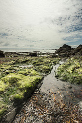 Image showing Beautiful seascape on low tide