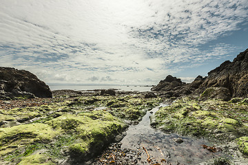 Image showing Beautiful seascape on low tide