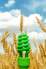 Image showing green eco bulb in field with harvest