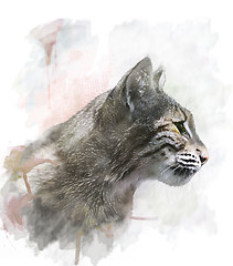 Image showing Watercolor Image Of  Bobcat