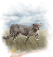 Image showing Watercolor Image Of Cheetah