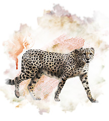 Image showing Watercolor Image Of Cheetah