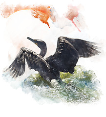 Image showing Watercolor Image Of  Double-crested Cormorant