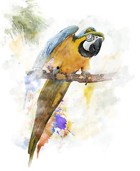 Image showing Watercolor Image Of Parrot