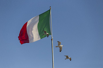 Image showing Seagulls flying near Italian flag