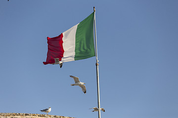 Image showing Seagulls flying near Italian flag