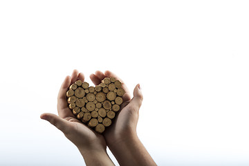 Image showing Young hands giving wooden heart