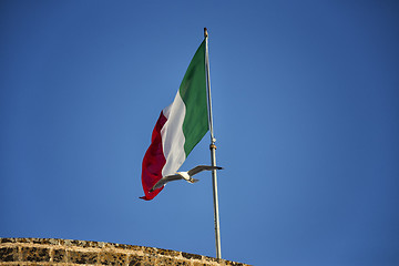 Image showing Seagulls flying near Italian flag